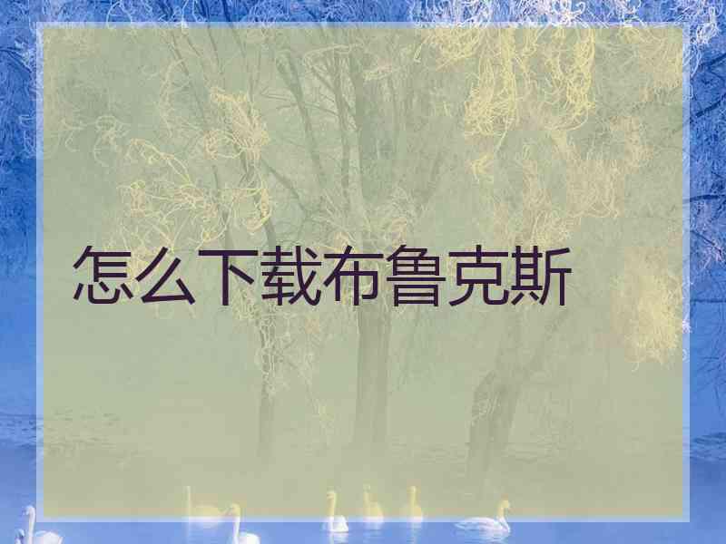 怎么下载布鲁克斯 怎么下载布鲁克斯