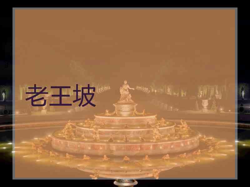 老王坡 老王坡