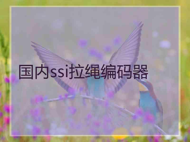 国内ssi拉绳编码器 国内ssi拉绳编码器