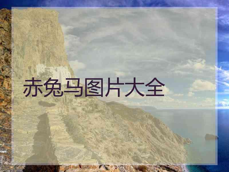 赤兔马图片大全 赤兔马图片大全