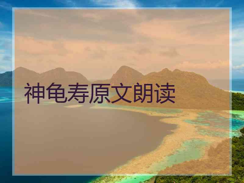 神龟寿原文朗读 神龟寿原文朗读