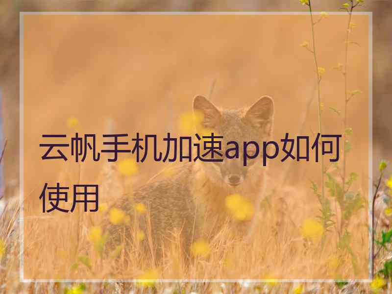 云帆手机加速app如何使用 云帆手机加速app如何使用