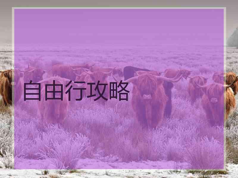 自由行攻略 自由行攻略
