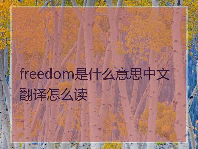 freedom是什么意思中文翻译怎么读