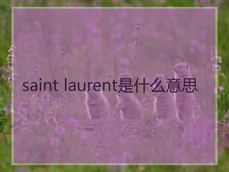 saint laurent是什么意思 saint laurent是什么意思