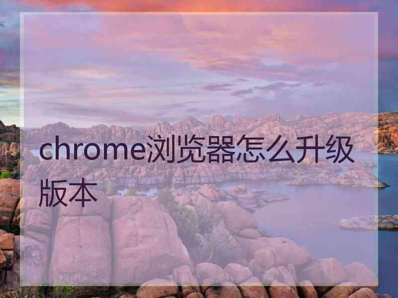 chrome浏览器怎么升级版本 chrome浏览器怎么升级版本