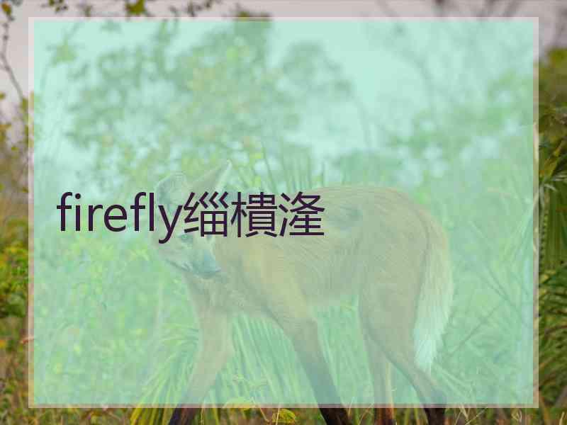 firefly缁樻湰 firefly缁樻湰