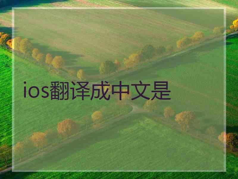 ios翻译成中文是