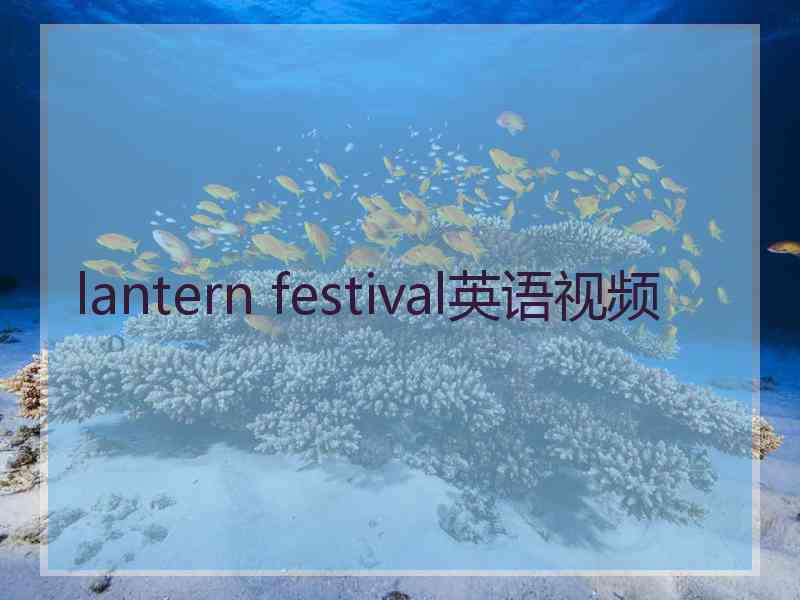lantern festival英语视频