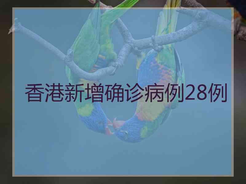 香港新增确诊病例28例