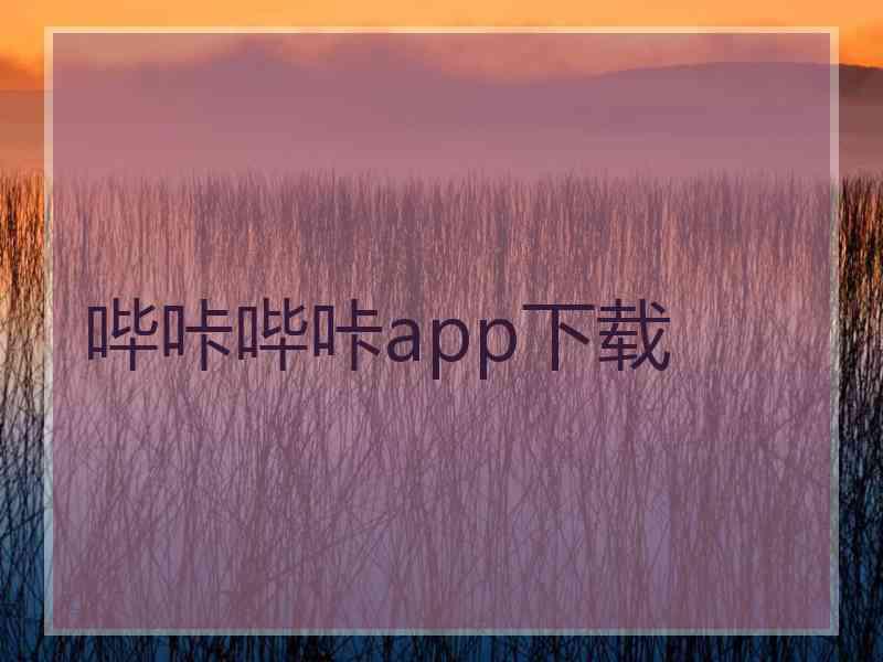 哔咔哔咔app下载 哔咔哔咔app下载