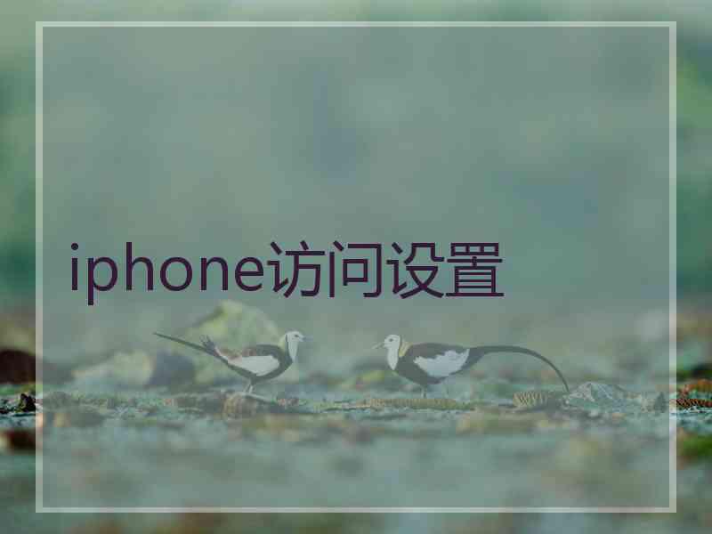 iphone访问设置 iphone访问设置
