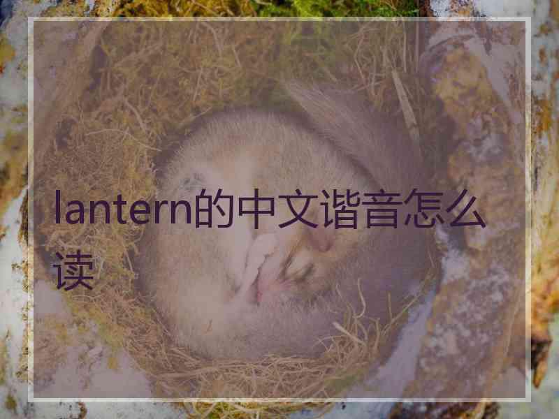 lantern的中文谐音怎么读