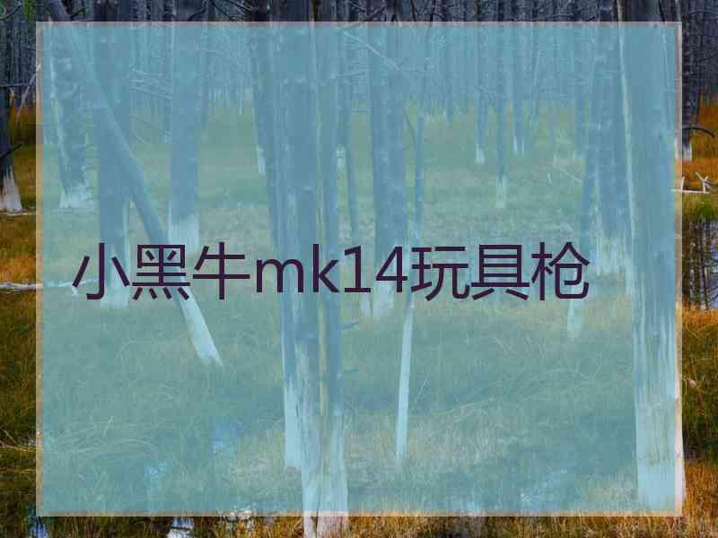 小黑牛mk14玩具枪 小黑牛mk14玩具枪