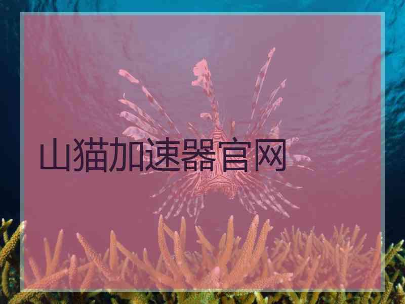 山猫加速器官网 山猫加速器官网