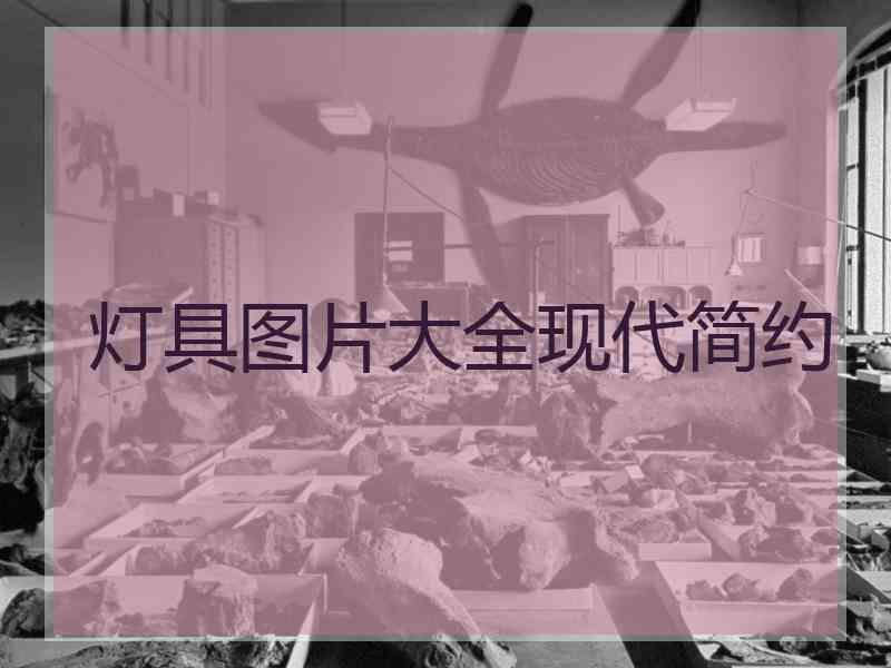 灯具图片大全现代简约 灯具图片大全现代简约