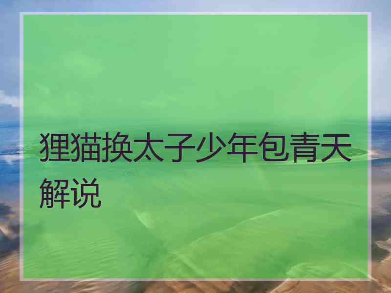 狸猫换太子少年包青天解说 狸猫换太子少年包青天解说