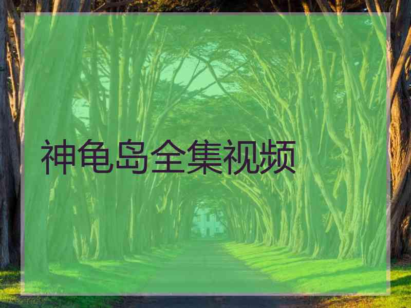 神龟岛全集视频 神龟岛全集视频
