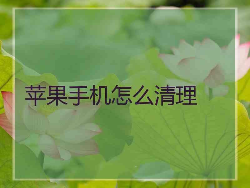 苹果手机怎么清理 苹果手机怎么清理
