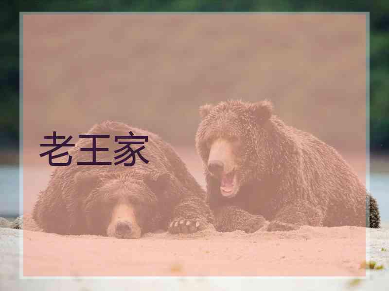 老王家 老王家