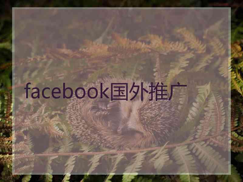 facebook国外推广
