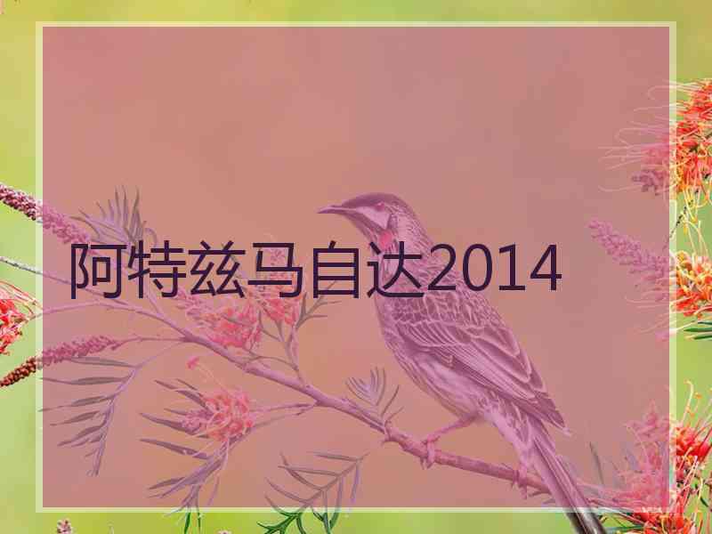 阿特兹马自达2014 阿特兹马自达2014