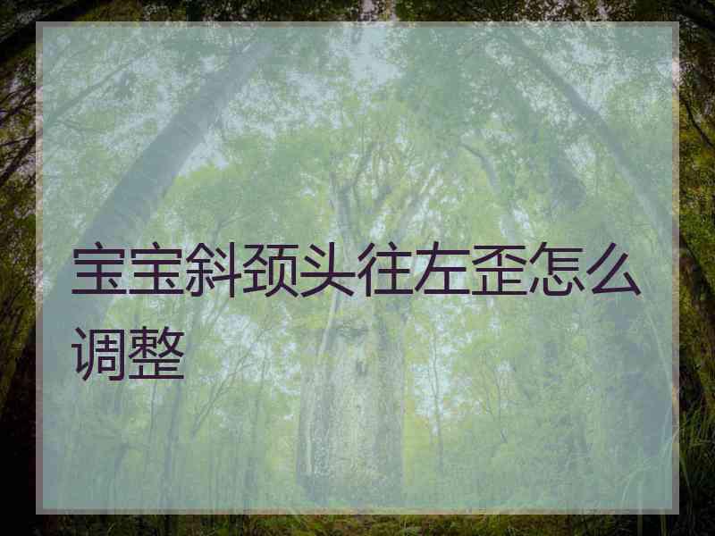 宝宝斜颈头往左歪怎么调整 宝宝斜颈头往左歪怎么调整