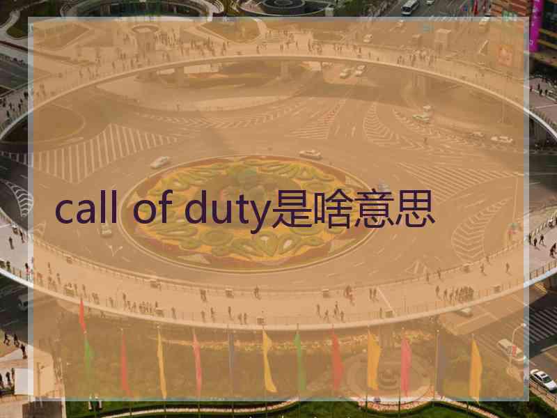 call of duty是啥意思