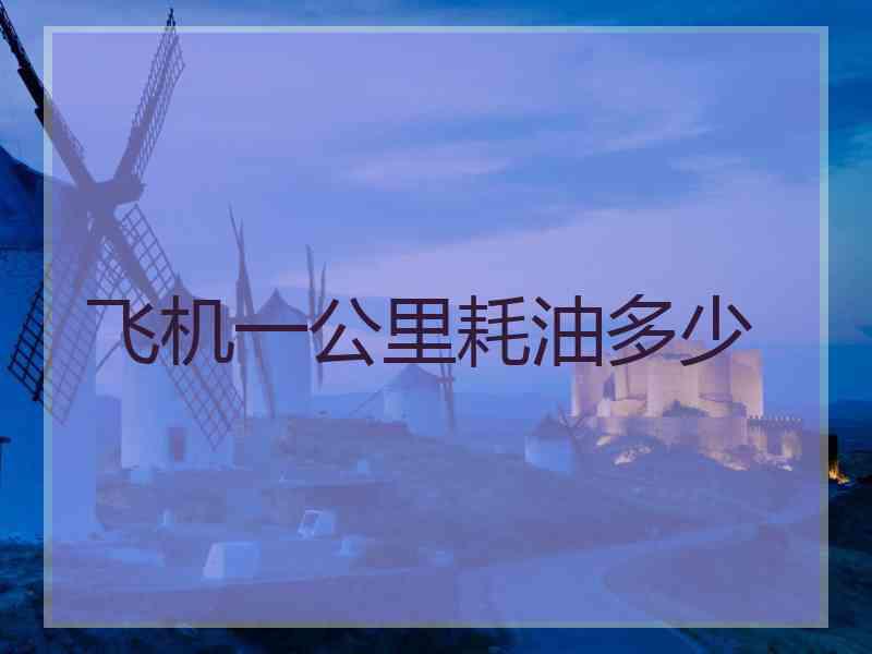 飞机一公里耗油多少 飞机一公里耗油多少