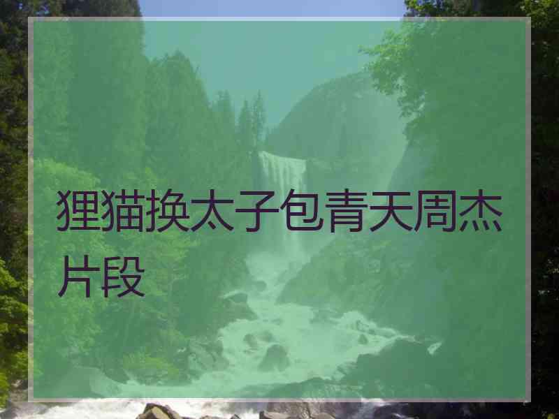 狸猫换太子包青天周杰片段 狸猫换太子包青天周杰片段