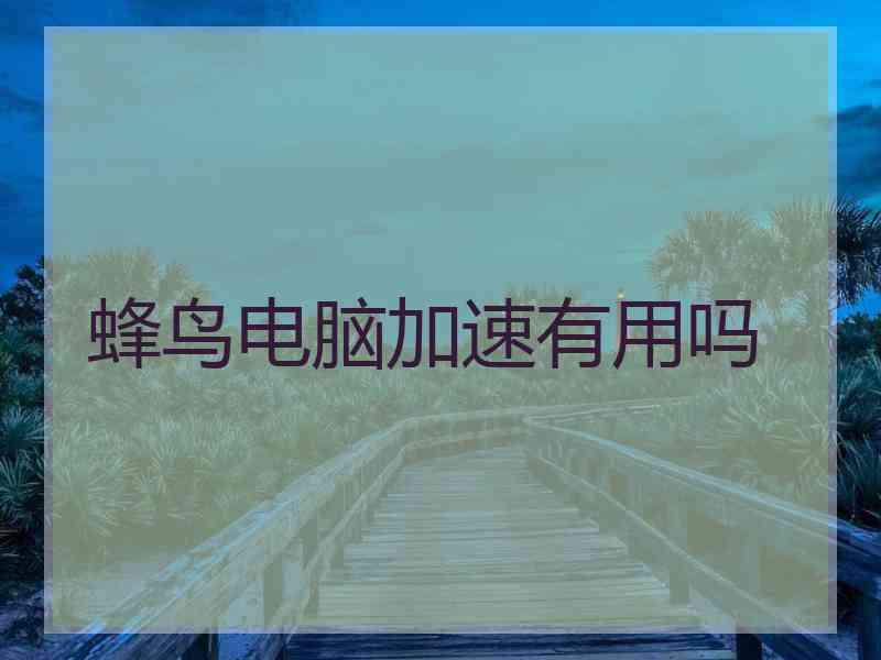 蜂鸟电脑加速有用吗 蜂鸟电脑加速有用吗