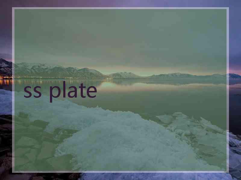 ss plate