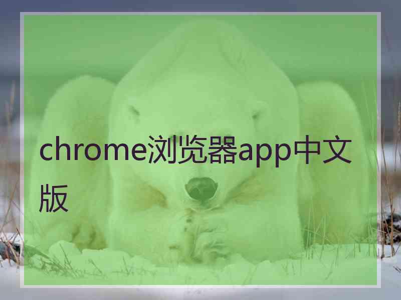 chrome浏览器app中文版 chrome浏览器app中文版