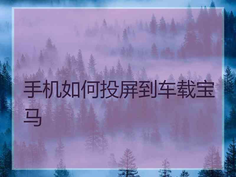 手机如何投屏到车载宝马 手机如何投屏到车载宝马