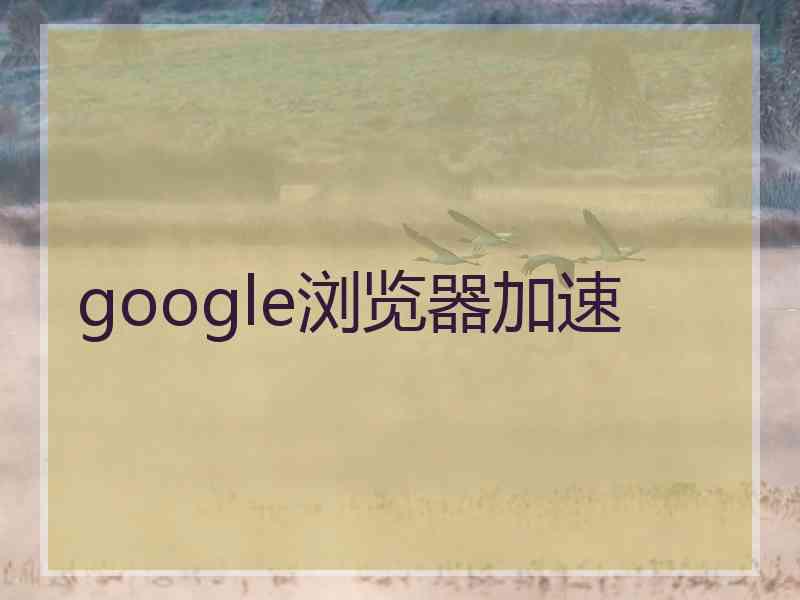 google浏览器加速