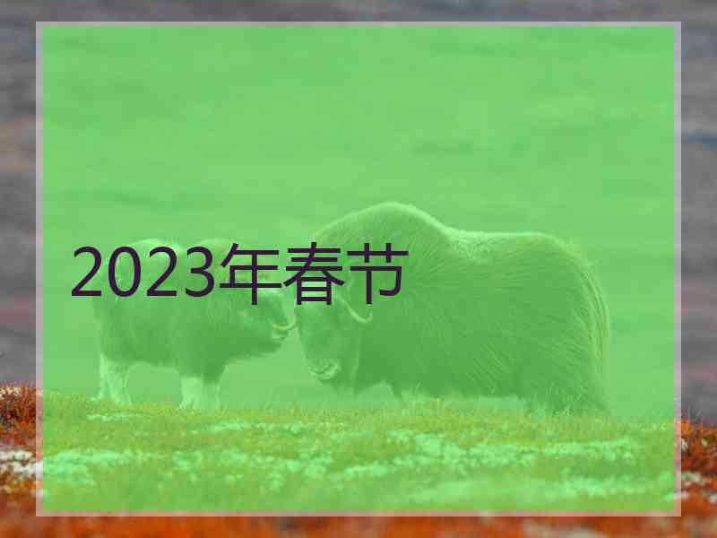 2023年春节
