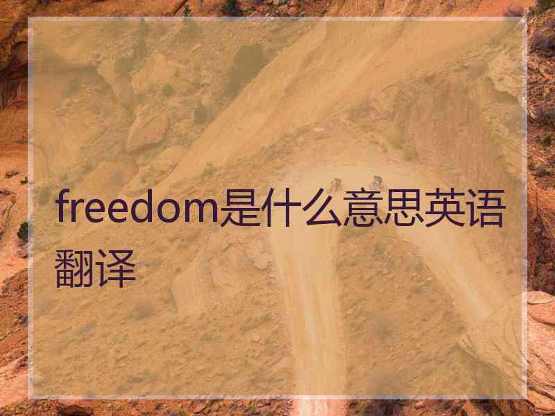 freedom是什么意思英语翻译