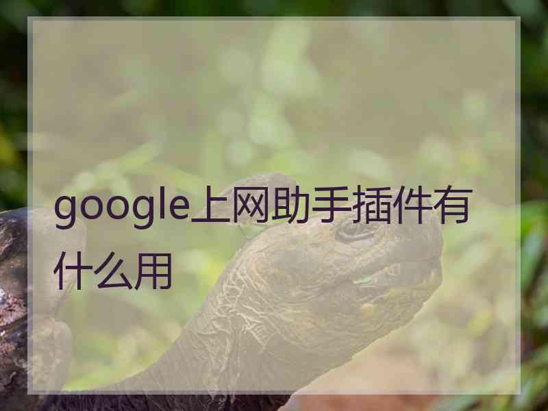 google上网助手插件有什么用 google上网助手插件有什么用