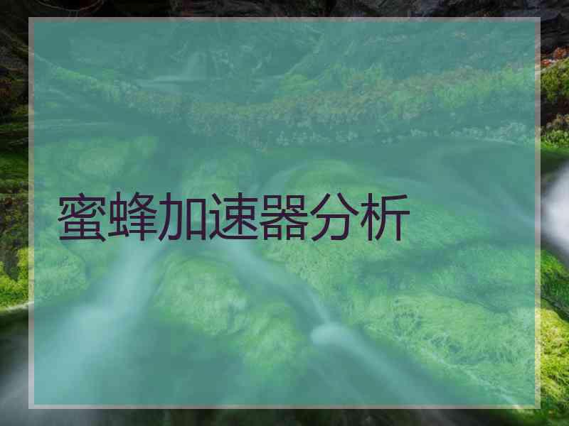蜜蜂加速器分析 蜜蜂加速器分析