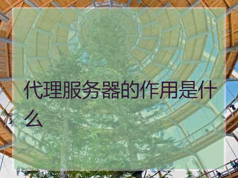 代理服务器的作用是什么 代理服务器的作用是什么