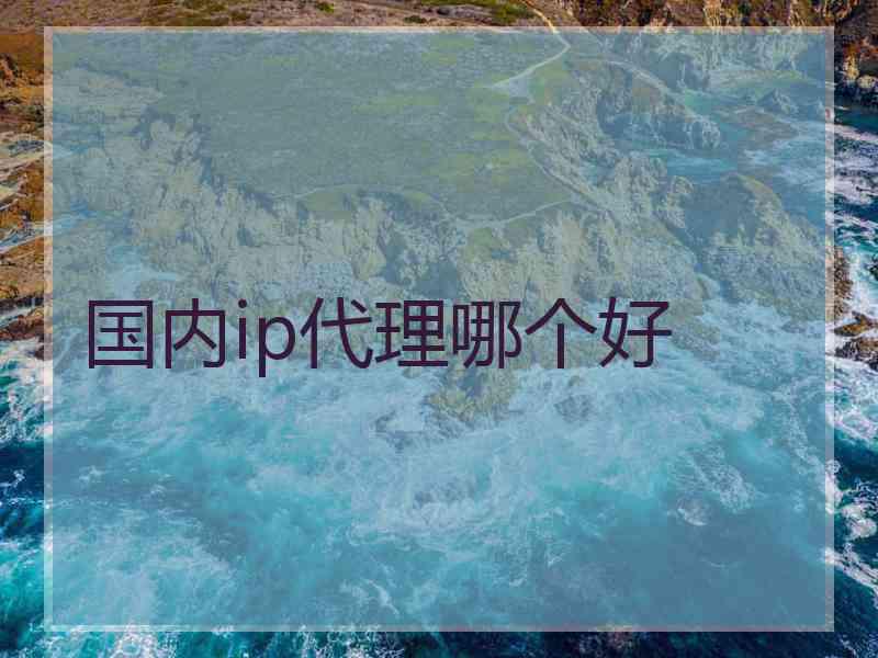 国内ip代理哪个好 国内ip代理哪个好