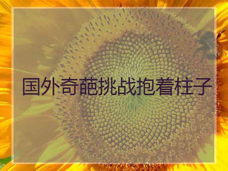 国外奇葩挑战抱着柱子 国外奇葩挑战抱着柱子