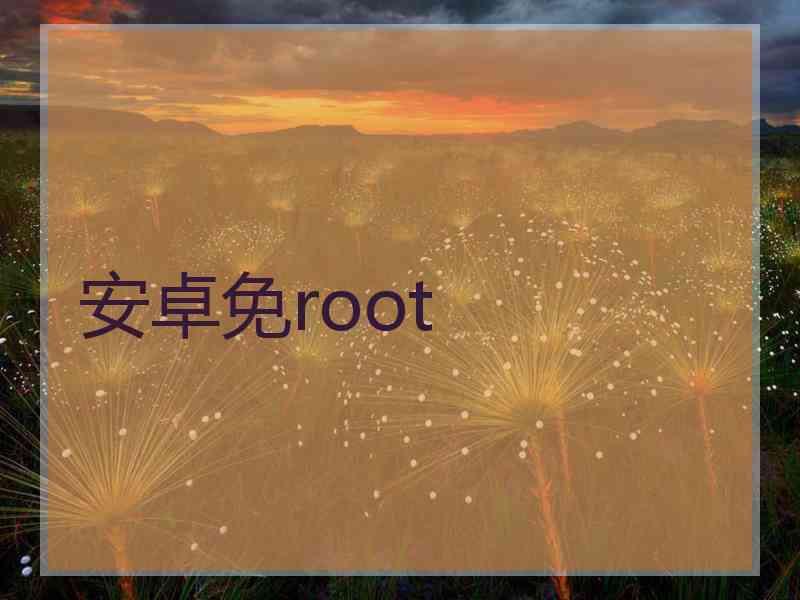 安卓免root