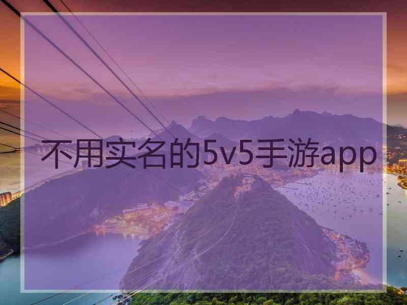 不用实名的5v5手游app 不用实名的5v5手游app