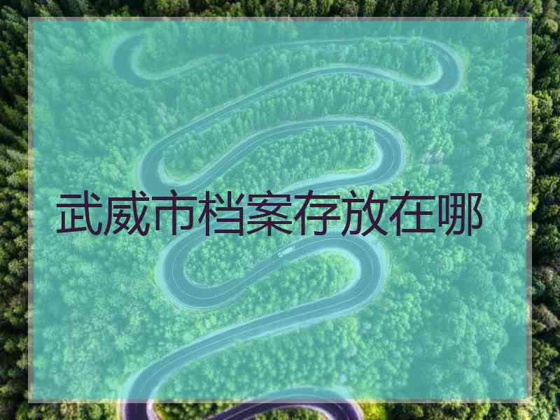 武威市档案存放在哪 武威市档案存放在哪