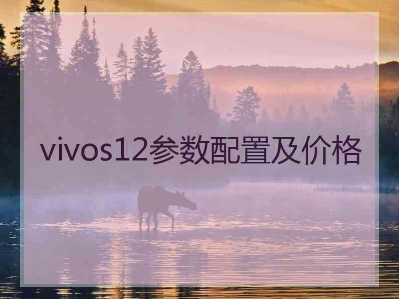 vivos12参数配置及价格 vivos12参数配置及价格