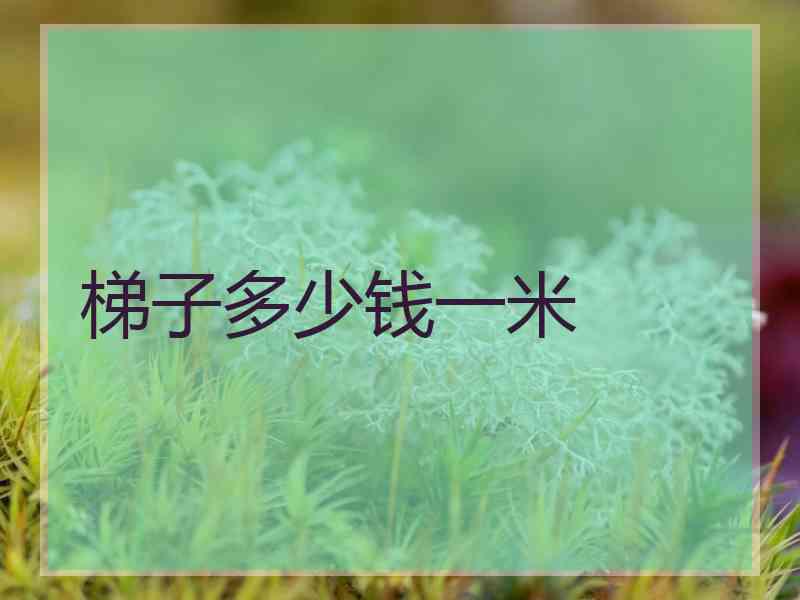 梯子多少钱一米 梯子多少钱一米