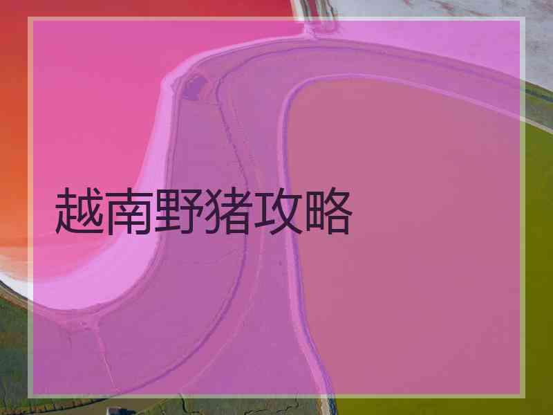 越南野猪攻略 越南野猪攻略