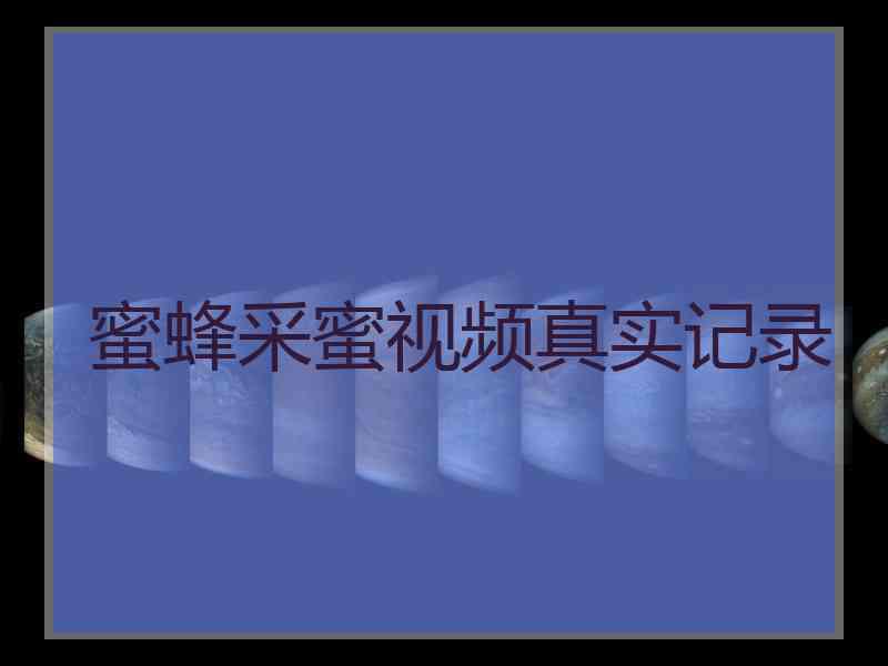 蜜蜂采蜜视频真实记录 蜜蜂采蜜视频真实记录