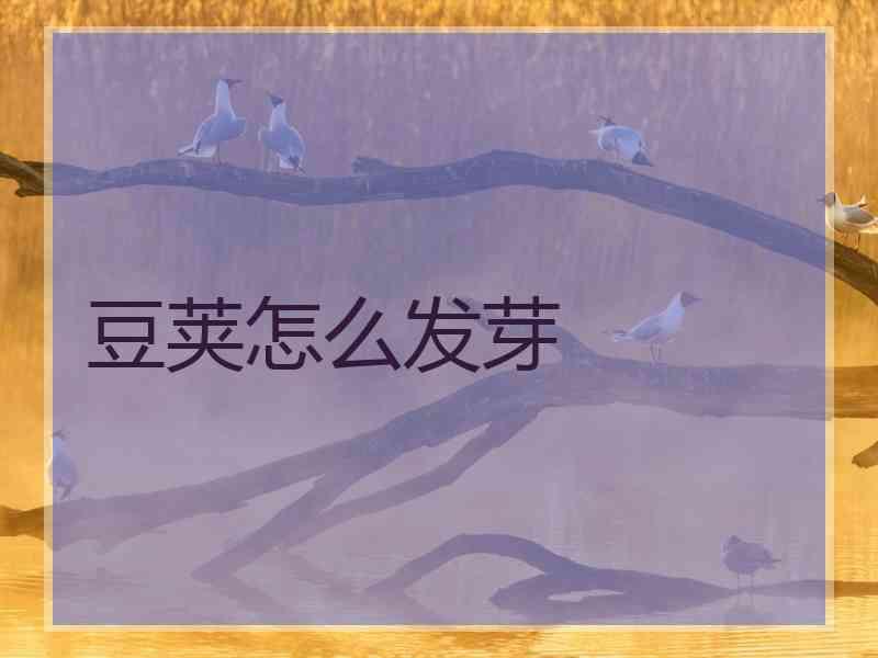 豆荚怎么发芽 豆荚怎么发芽